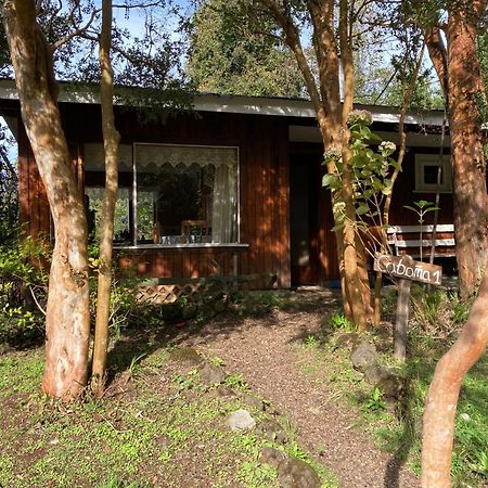 Cabanas El Bosque Patagonico Frutillar Ngoại thất bức ảnh