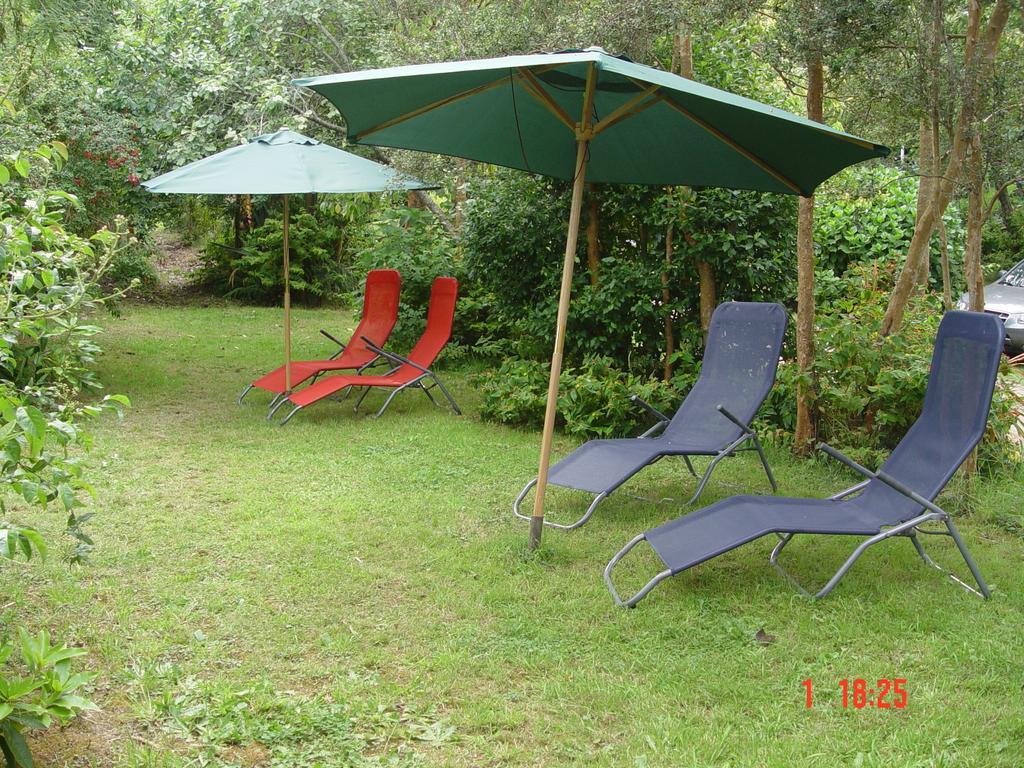 Cabanas El Bosque Patagonico Frutillar Phòng bức ảnh
