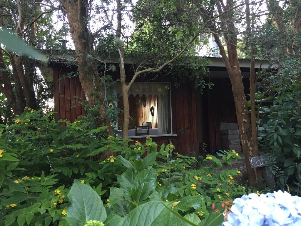 Cabanas El Bosque Patagonico Frutillar Ngoại thất bức ảnh