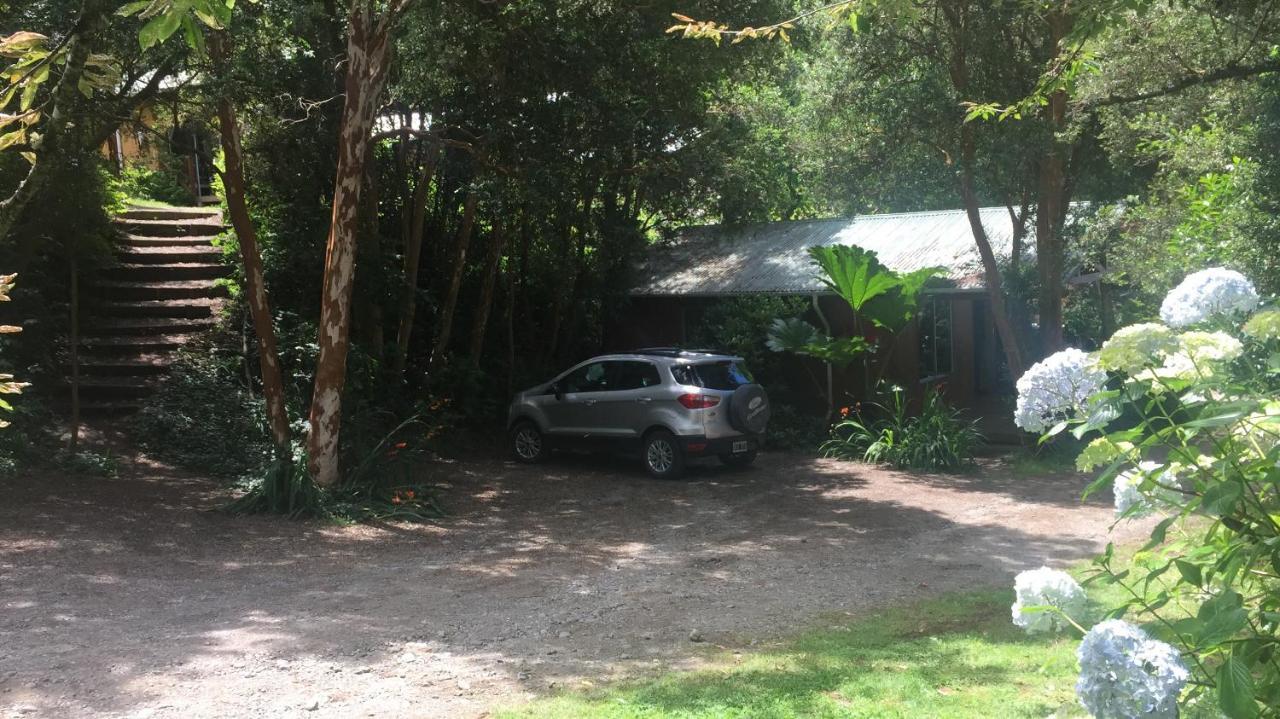 Cabanas El Bosque Patagonico Frutillar Ngoại thất bức ảnh