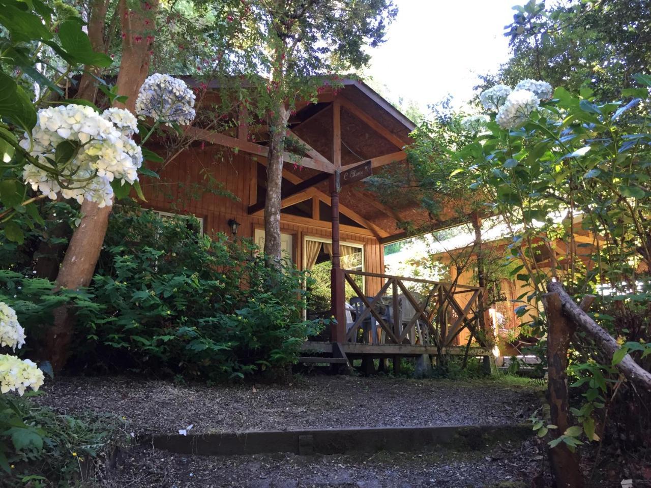 Cabanas El Bosque Patagonico Frutillar Ngoại thất bức ảnh