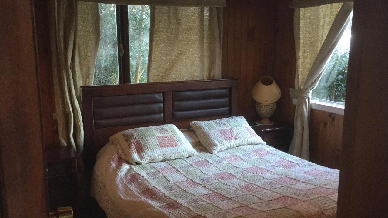 Cabanas El Bosque Patagonico Frutillar Ngoại thất bức ảnh