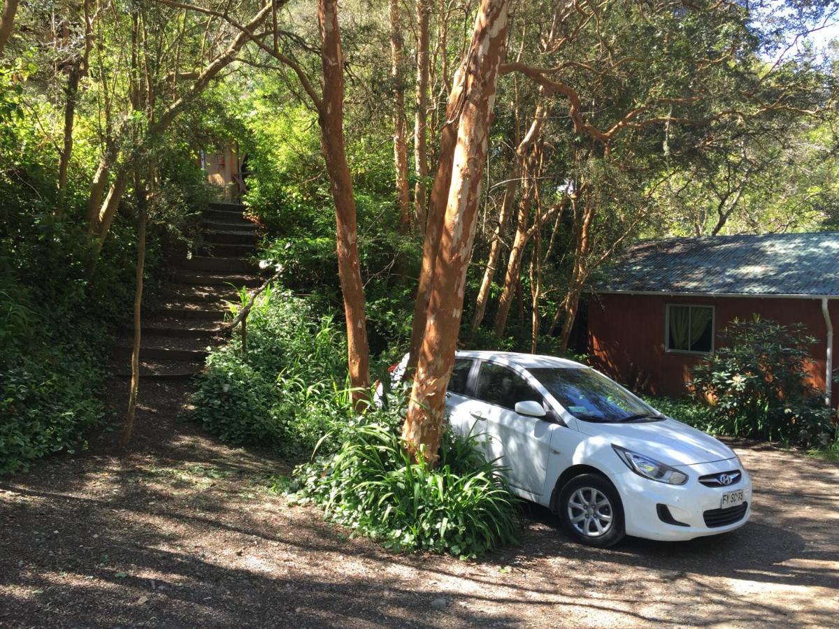 Cabanas El Bosque Patagonico Frutillar Ngoại thất bức ảnh
